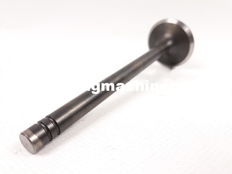Клапан впускной Komatsu 6140-41-4111