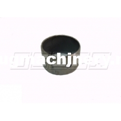 BALANCER BUSHING STD JOHN DEER R115299
