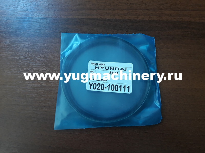 Уплотнение Hyundai Y020-100111
